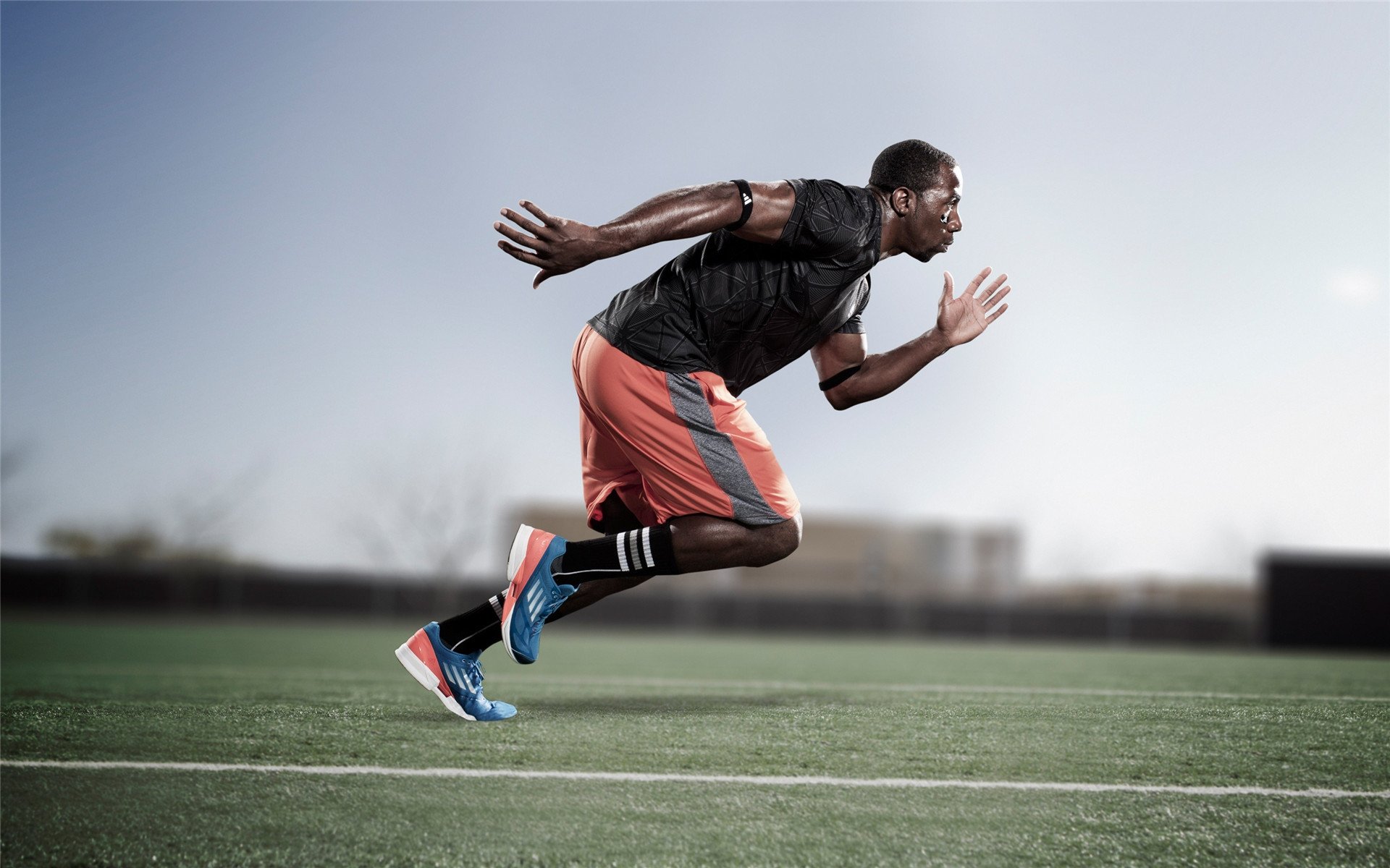 _野生动植物保护跑：运动与环保双赢_，野生动植物保护宣传海报